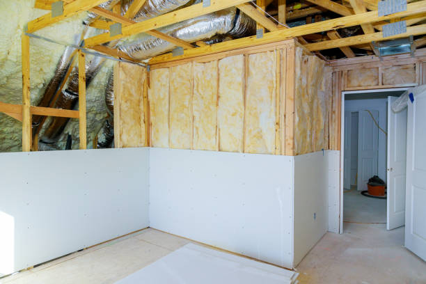 Best Professional Insulation Contractor  in Lakeland Highlands, FL