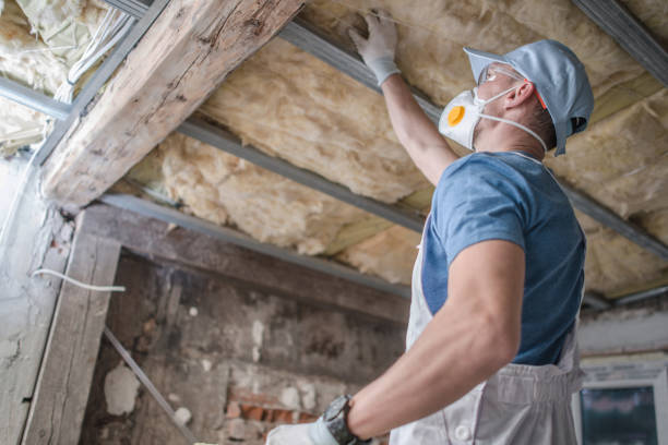 Best Attic Insulation Installation  in Lakeland Highlands, FL