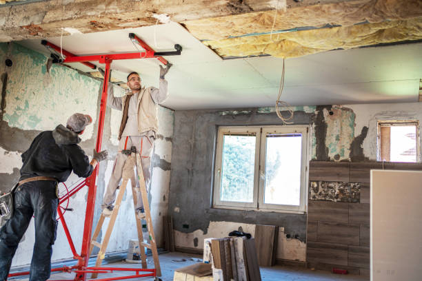 Best Cellulose Insulation  in Lakeland Highlands, FL