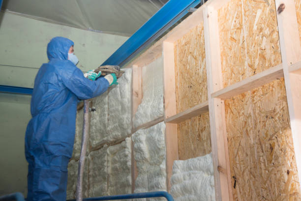 Best Insulation Replacement Services  in Lakeland Highlands, FL