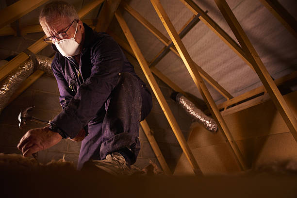 Best Energy-efficient Insulation  in Lakeland Highlands, FL